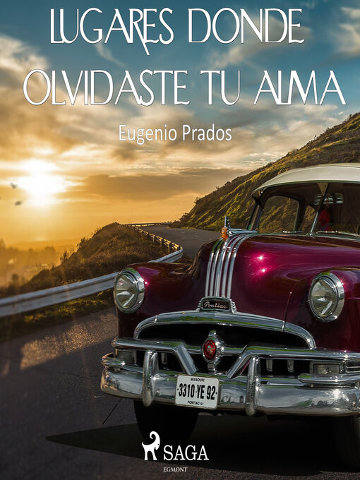 Cover image for Lugares donde olvidaste tu alma